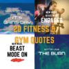 Fitness & Gym Quotes