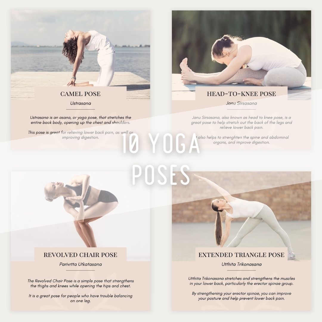 FOUNDATIONAL YOGA POSES + CUES AND ALIGNMENT TIPS🧘‍♀️ | Gallery posted by  vivianxfong | Lemon8